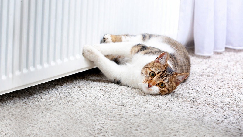 Як збільшити віддачу тепла від батареї: прості способи без ремонту