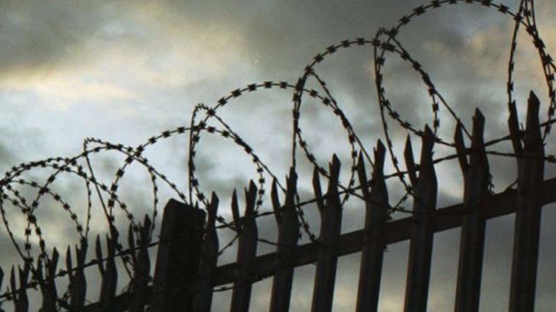 Вбивство у дачному масиві біля Луцька: двох підозрюваних відправили в СІЗО