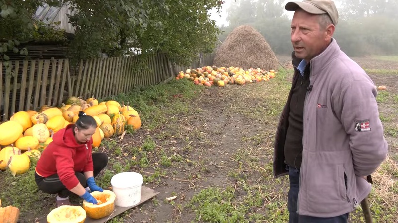 Справжній гарбузовий рай: як живе особливе село на Волині