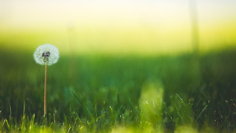 Переважно без опадів, до 16° тепла: прогноз погоди на 14 травня