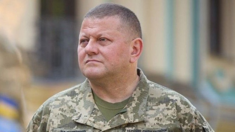 Залужний прокоментував «продовольчий» скандал