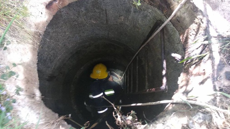 Втратили свідомість та впали в колодязь: подробиці нещасного випадку в Нововолинську