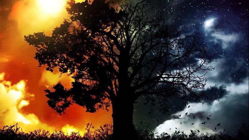 Коли день осіннього рівнодення 2023: дата і що важливо встигнути зробити на Сонцеворот