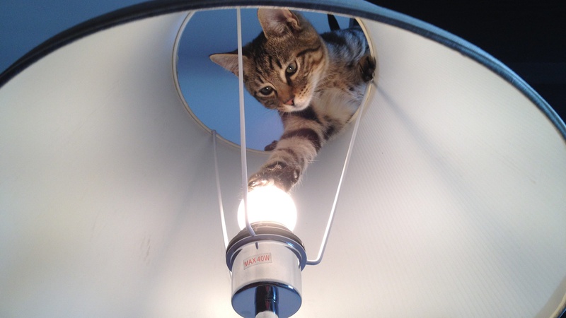 Де на Волині не буде світла у суботу 24 грудня