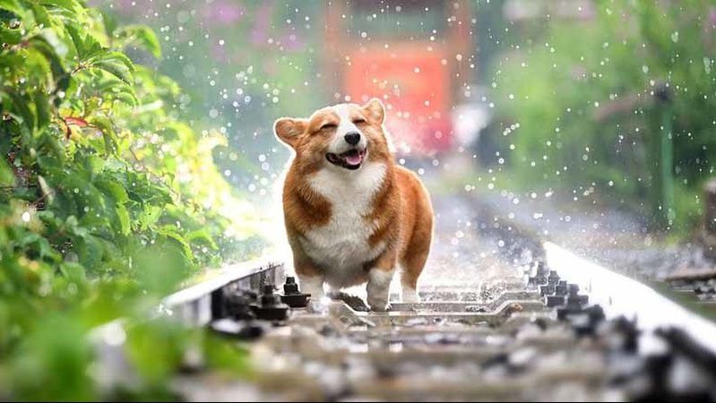 Прогноз погоди на 5 липня: грозові дощі та грім, але не всюди