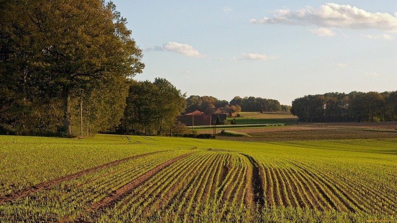 В Україні зареєстрували понад тисячу земельних угод