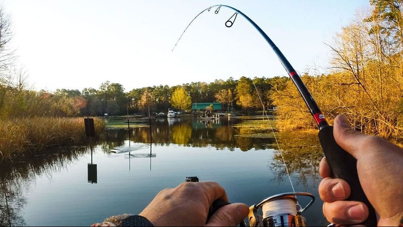 На Волині у рибака виявили небезпечну хворобу