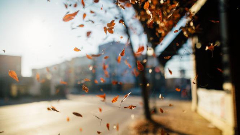 Що прогнозують волинські синоптики у вихідні, 27-28 листопада