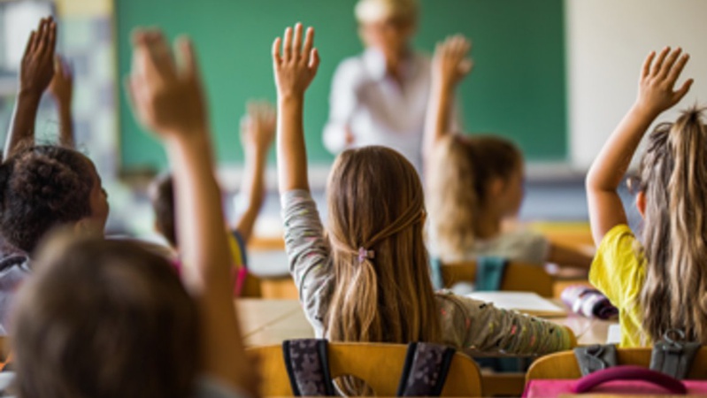 Школярка про дистанційне навчання, мотивацію та позаурочний час