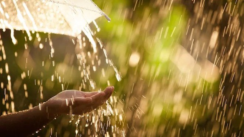 Яка погода очікується завтра, 2 липня